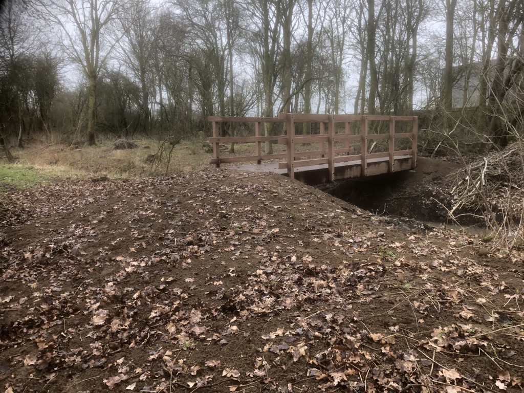 Wooden bridge in wooded area